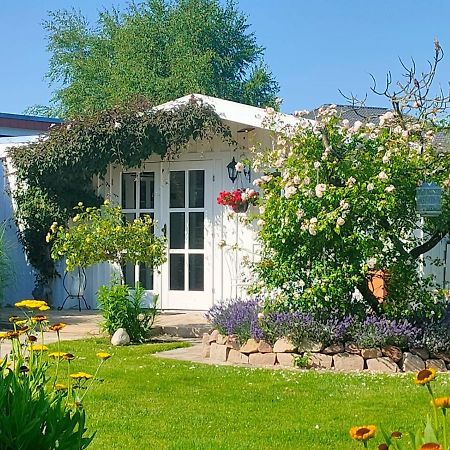 Luana'S White Cottage Surwold Ngoại thất bức ảnh